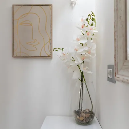 Casa Cartoleria 34 Apartamento