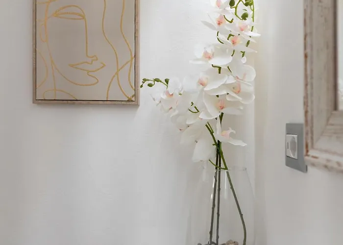 Casa Cartoleria 34 公寓