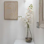 Casa Cartoleria 34 アパート